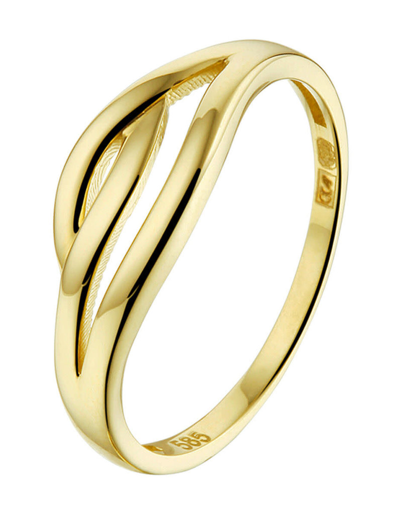 dames-ringen-goud-134ose-1.jpg dames ringen goud - Afbeelding 1